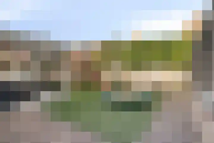 Sint Jansbloem 51 Gemert thumbnail 5
