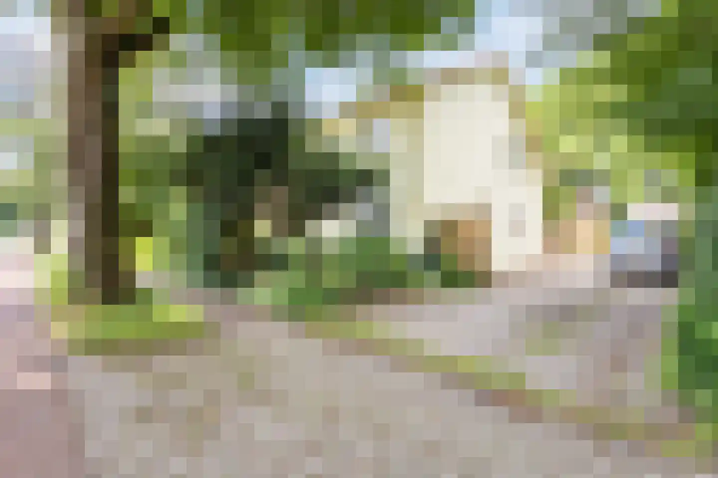 Sint Jansgildestraat 18 Beek thumbnail 4