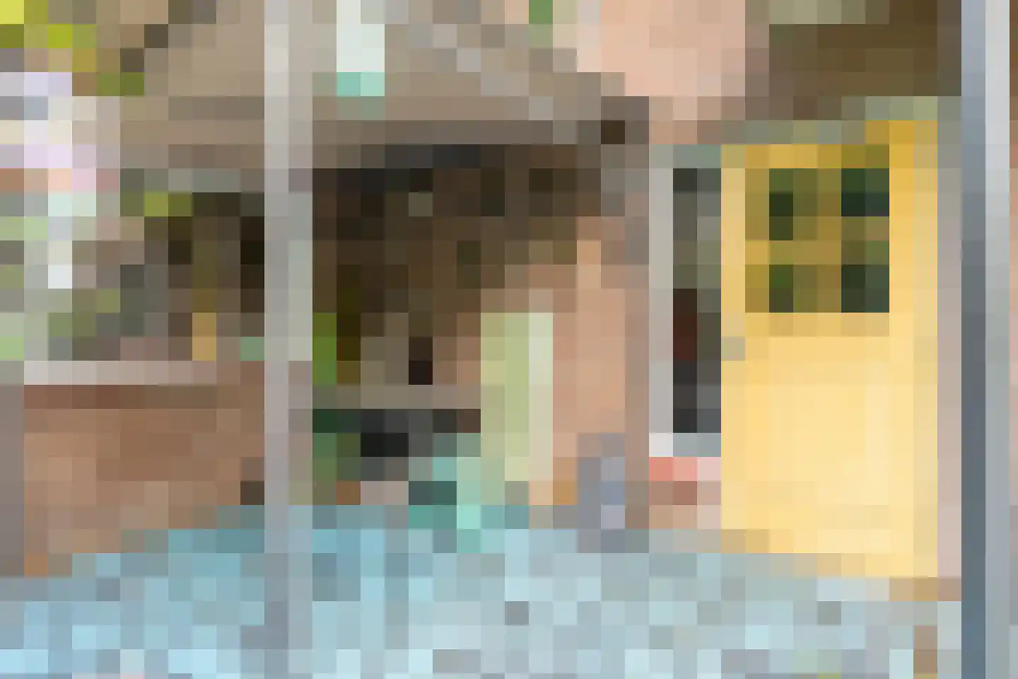Sint Jansgildestraat 18 Beek thumbnail 46