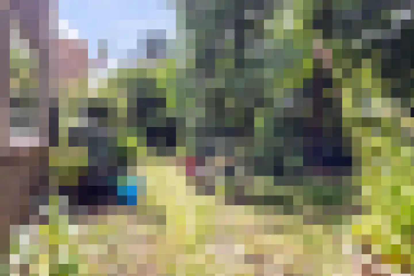 Sint Jansgildestraat 18 Beek thumbnail 48