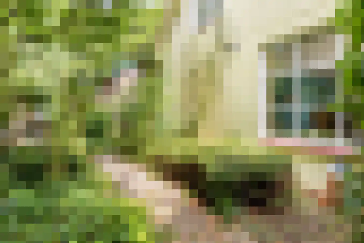 Sint Jansgildestraat 18 Beek thumbnail 56