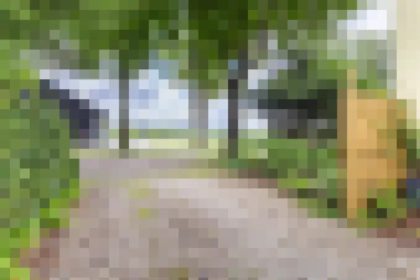 Sint Jansgildestraat 18 Beek thumbnail 6