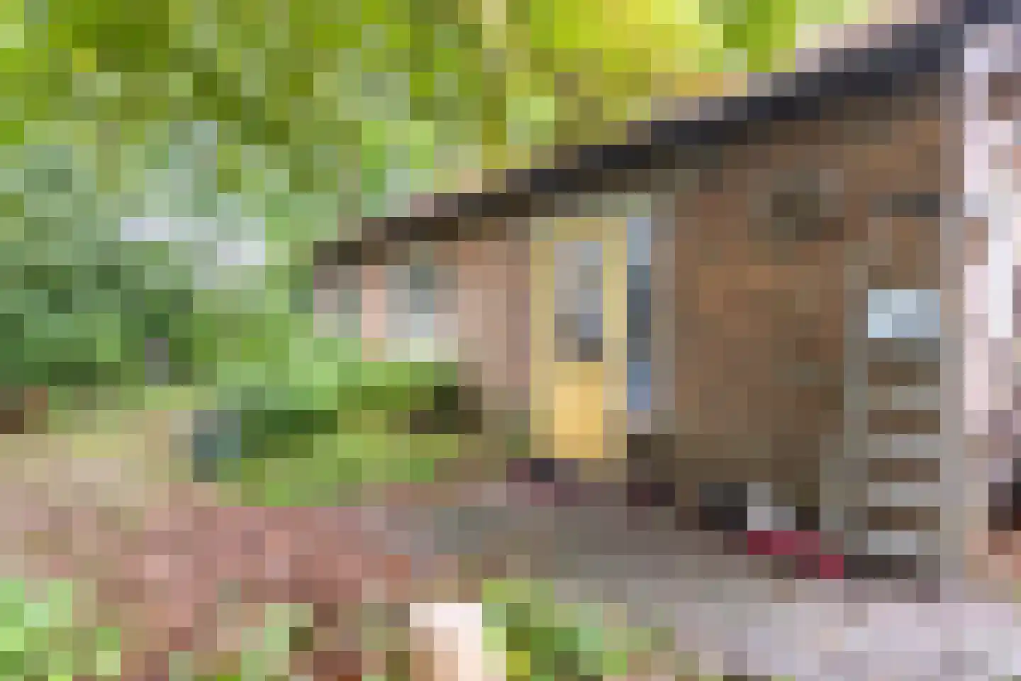 Sint Jansgildestraat 18 Beek thumbnail 60