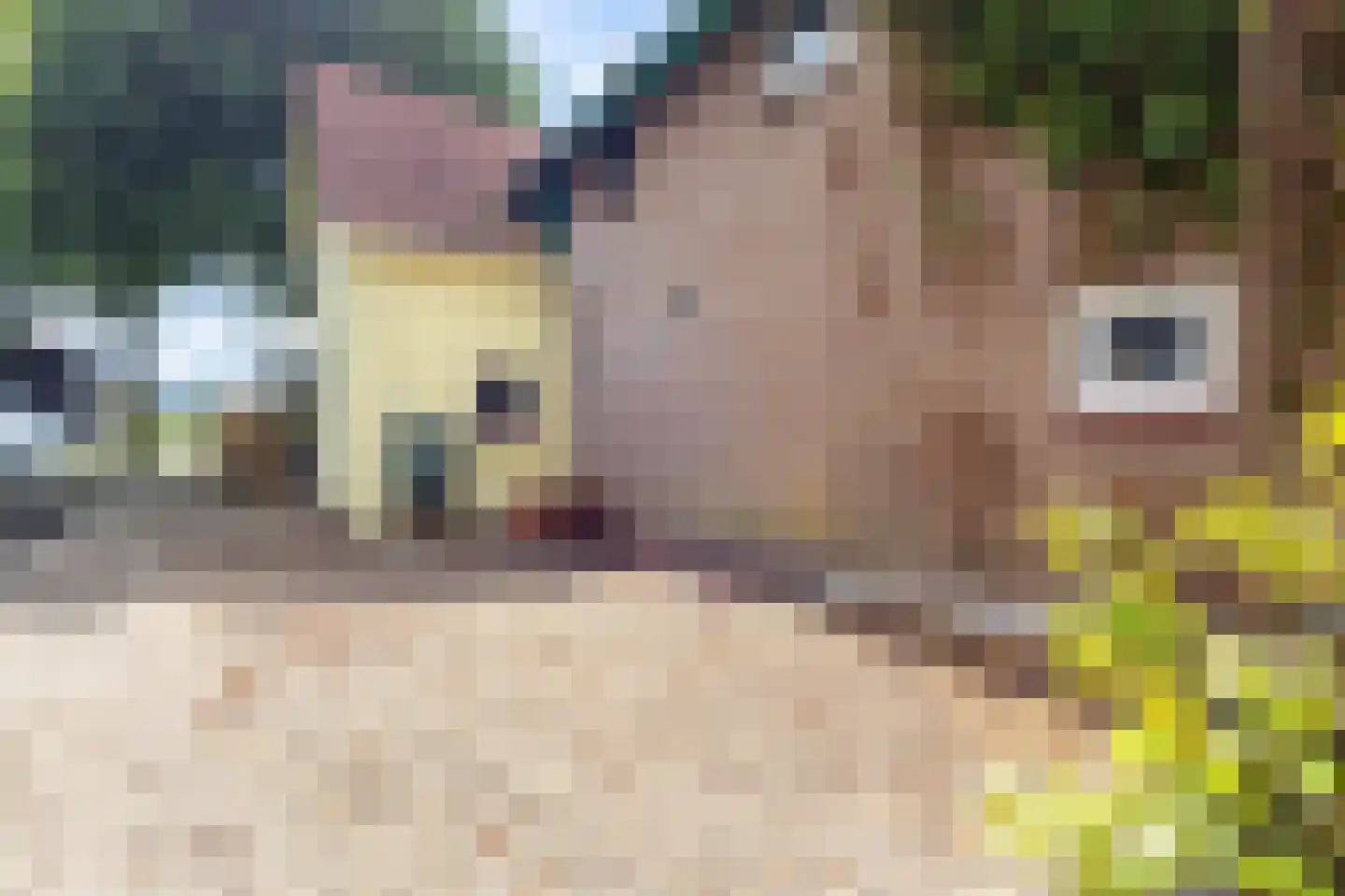 Sint Jansgildestraat 18 Beek thumbnail 7