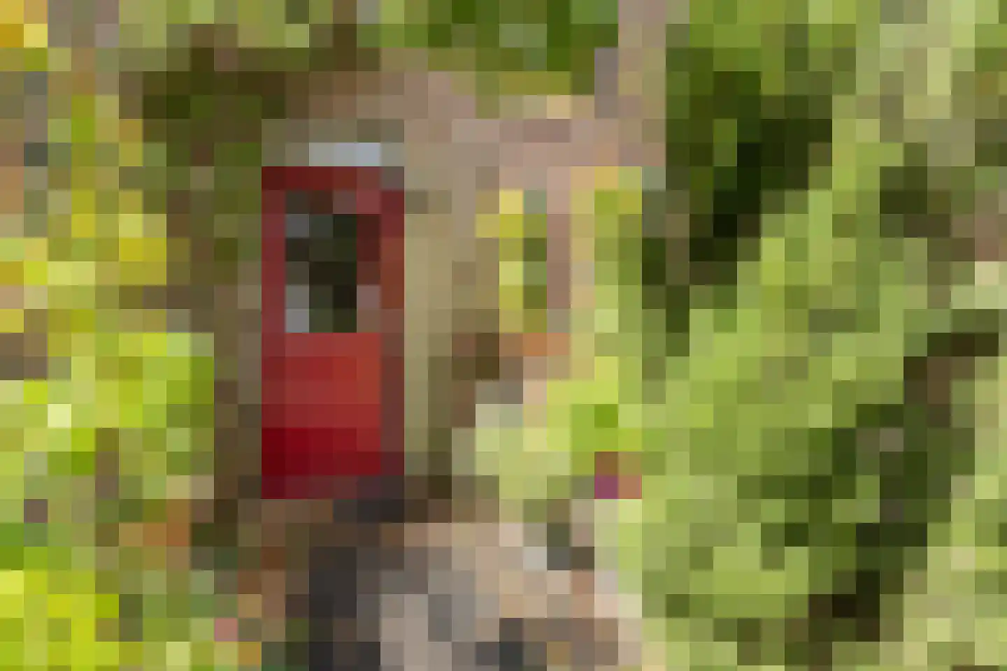 Sint Jansgildestraat 18 Beek thumbnail 8
