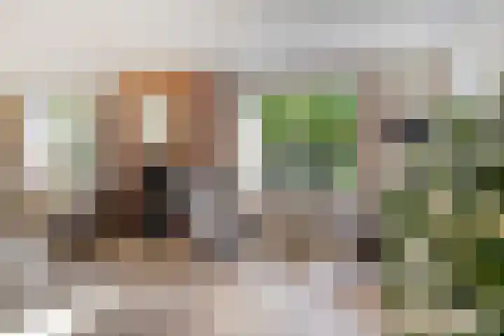 Sint Jansgildestraat 6 Beek thumbnail 12