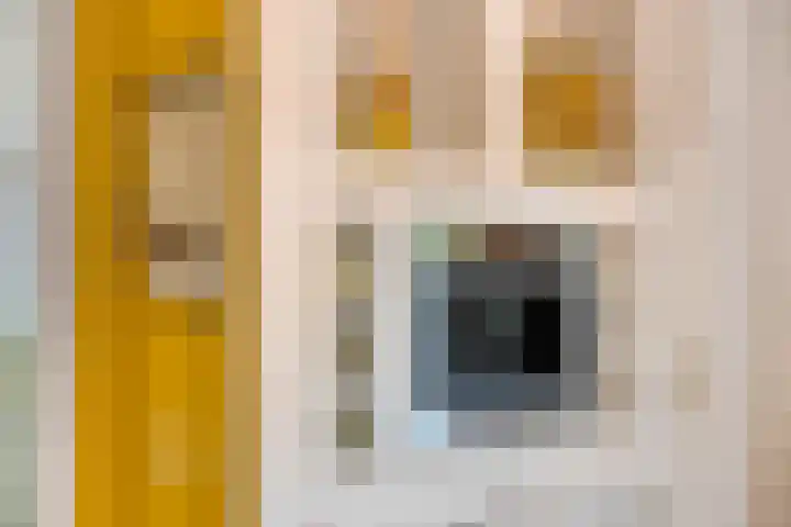 Sint Jansgildestraat 6 Beek thumbnail 24