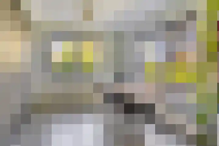 Sint Jansgildestraat 6 Beek thumbnail 26