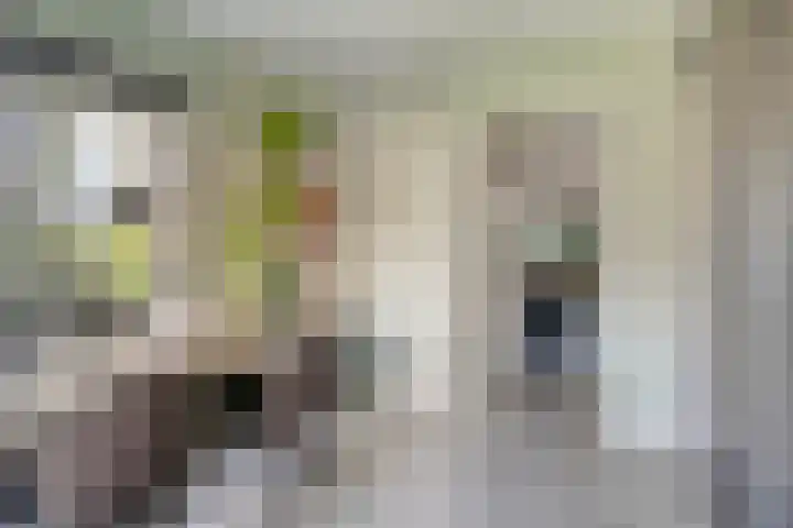 Sint Jansgildestraat 6 Beek thumbnail 27