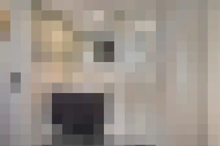 Sint Jansgildestraat 6 Beek thumbnail 31