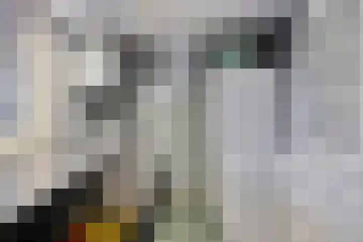 Sint Jansgildestraat 6 Beek thumbnail 32
