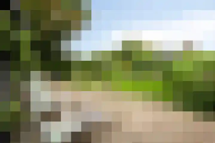Sint Jansgildestraat 6 Beek thumbnail 48