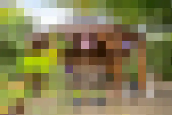 Sint Jansgildestraat 6 Beek thumbnail 50