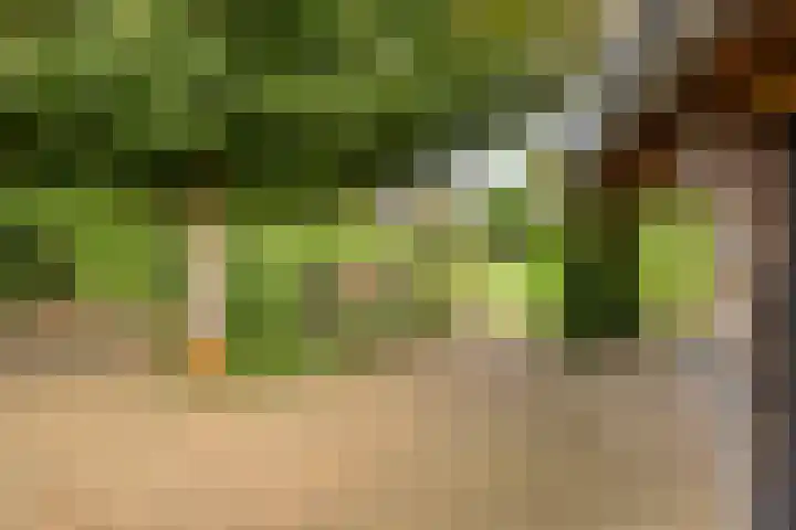 Sint Jansgildestraat 6 Beek thumbnail 51