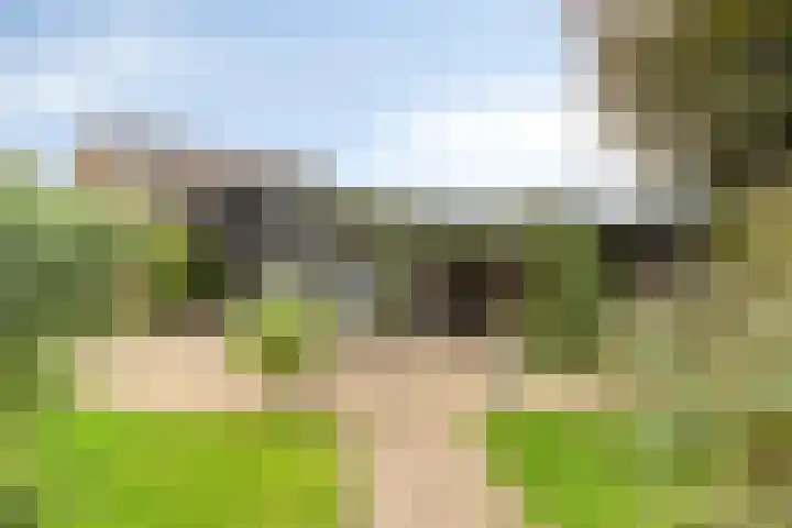 Sint Jansgildestraat 6 Beek thumbnail 53