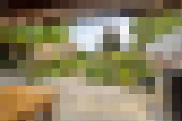 Sint Jansgildestraat 6 Beek thumbnail 56