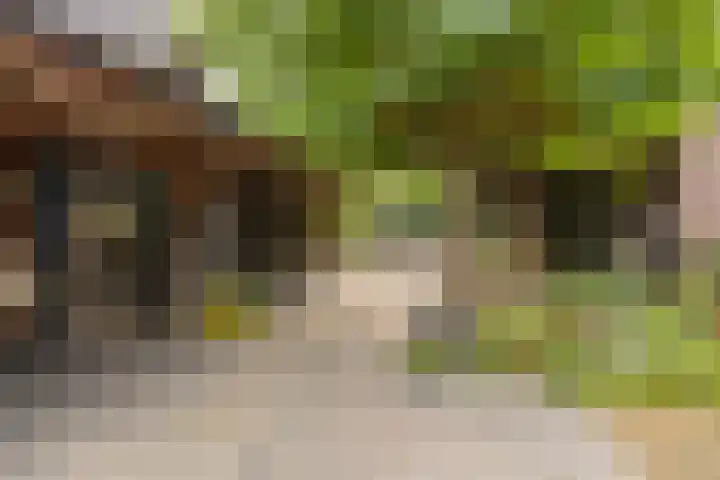 Sint Jansgildestraat 6 Beek thumbnail 58