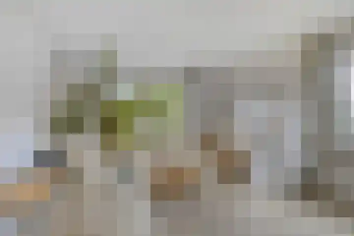 Sint Jansgildestraat 6 Beek thumbnail 64