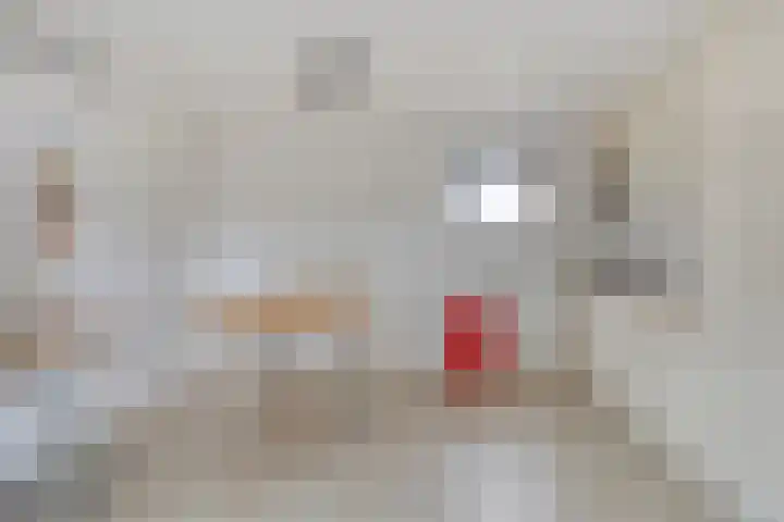 Sint Jansgildestraat 6 Beek thumbnail 66