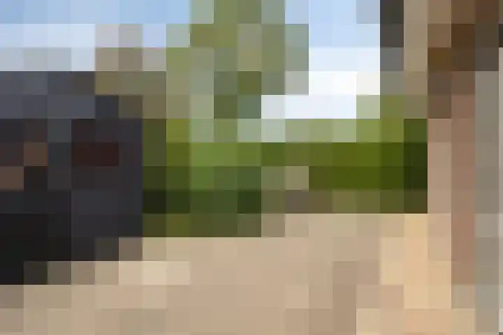 Sint Jansgildestraat 6 Beek thumbnail 68
