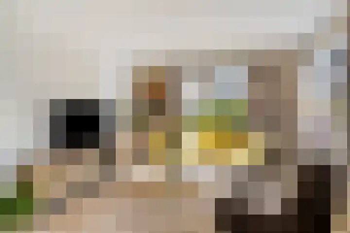 Sint Jansgildestraat 6 Beek thumbnail 7