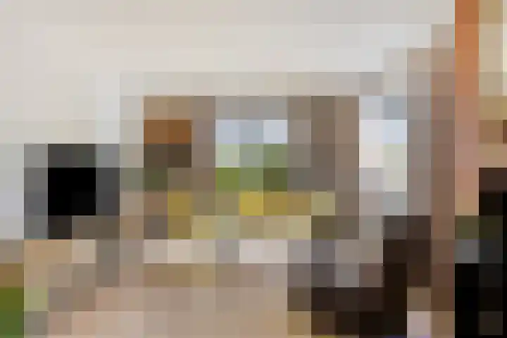 Sint Jansgildestraat 6 Beek thumbnail 9