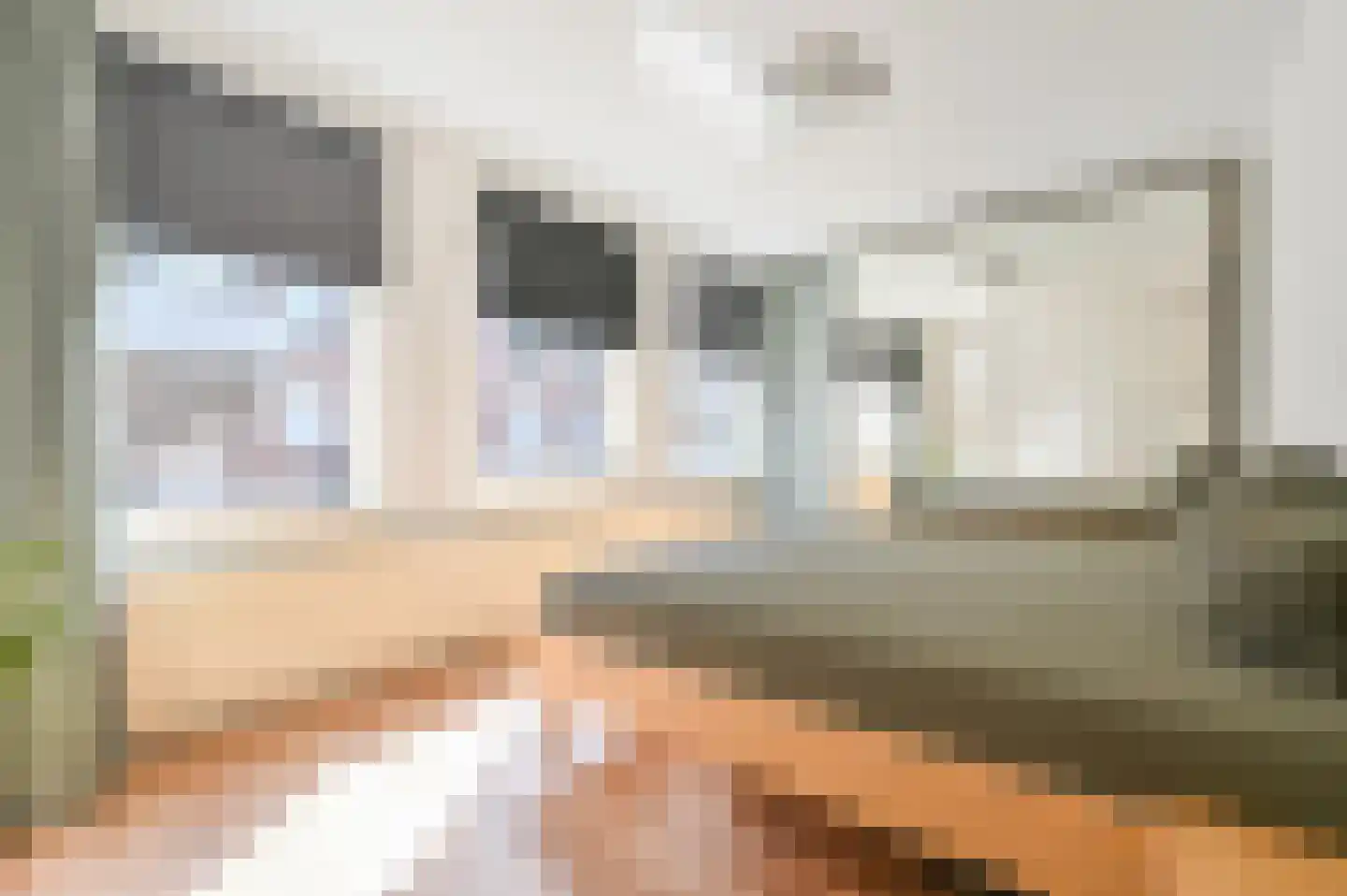 Sint Janskerkhof 13 Amersfoort thumbnail 14