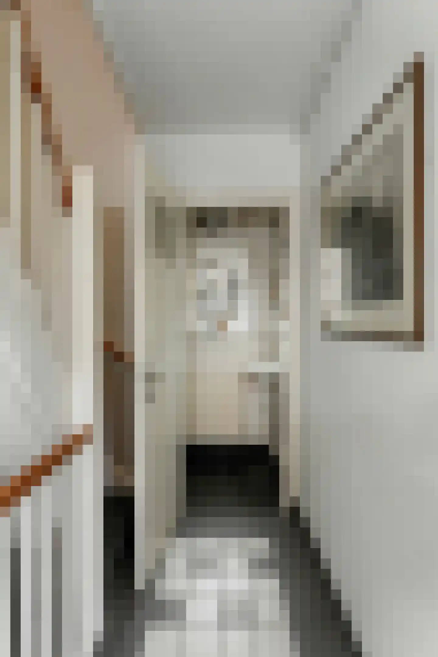Sint Janskerkhof 19 's-Hertogenbosch thumbnail 17