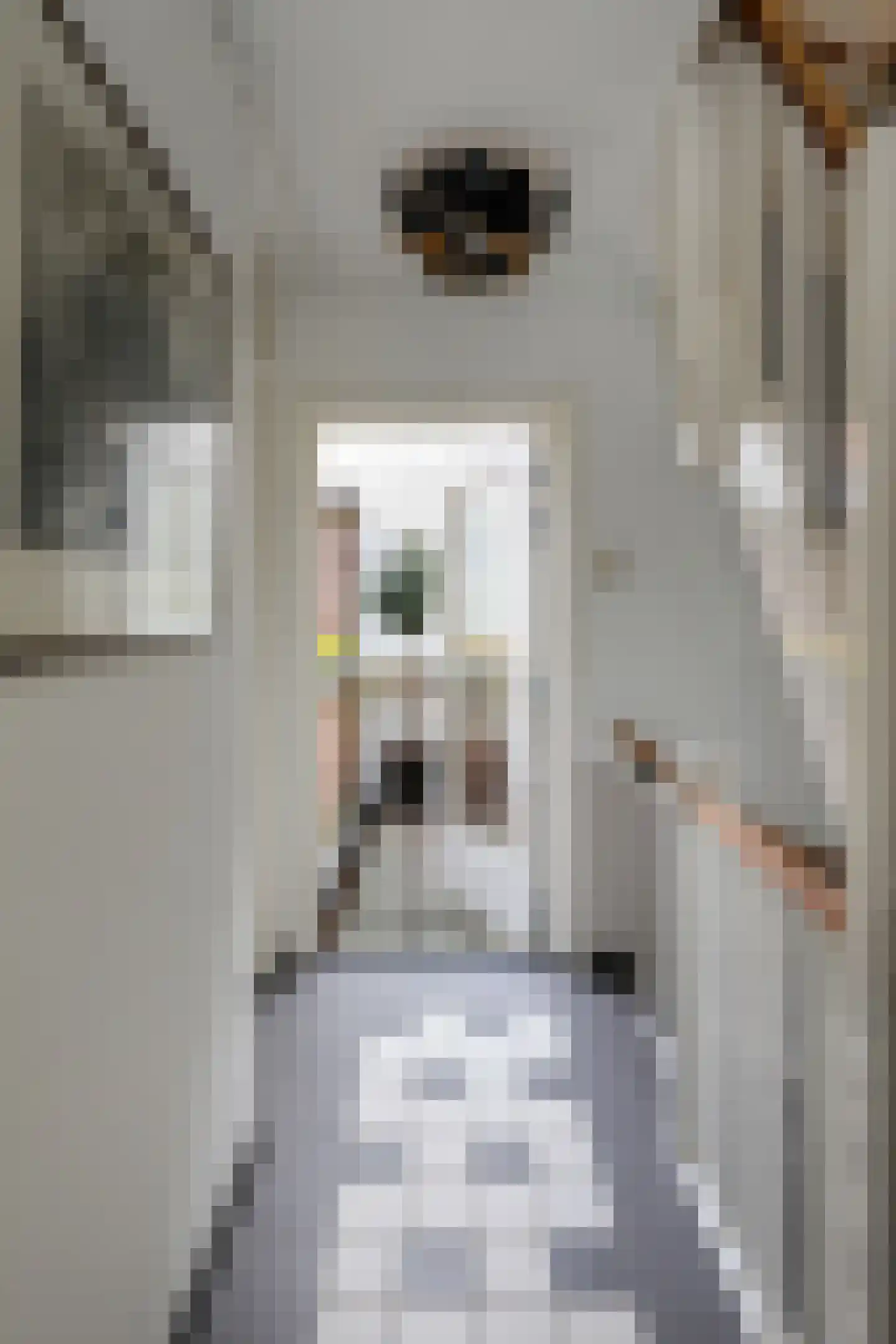 Sint Janskerkhof 19 's-Hertogenbosch thumbnail 19