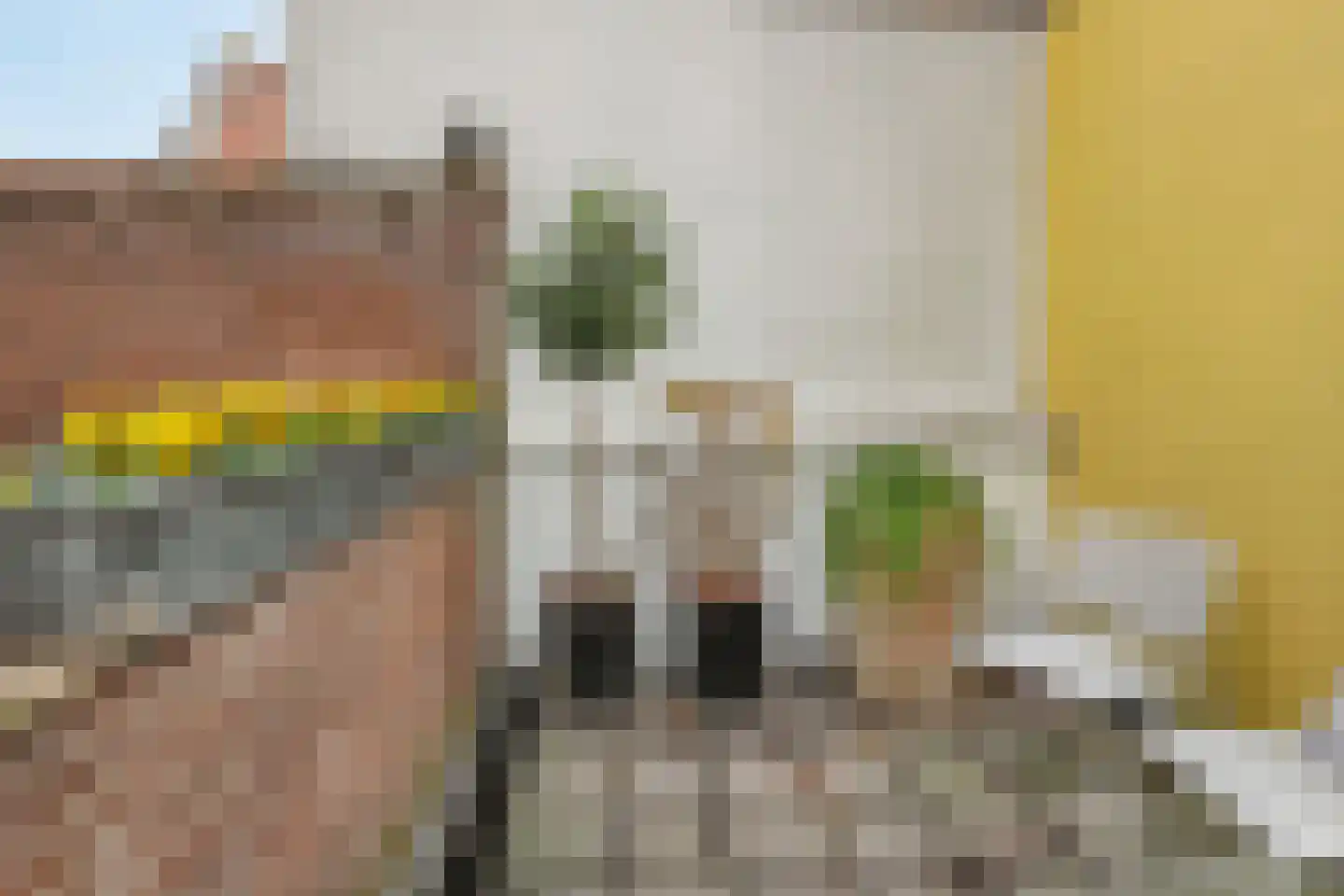 Sint Janskerkhof 19 's-Hertogenbosch thumbnail 20