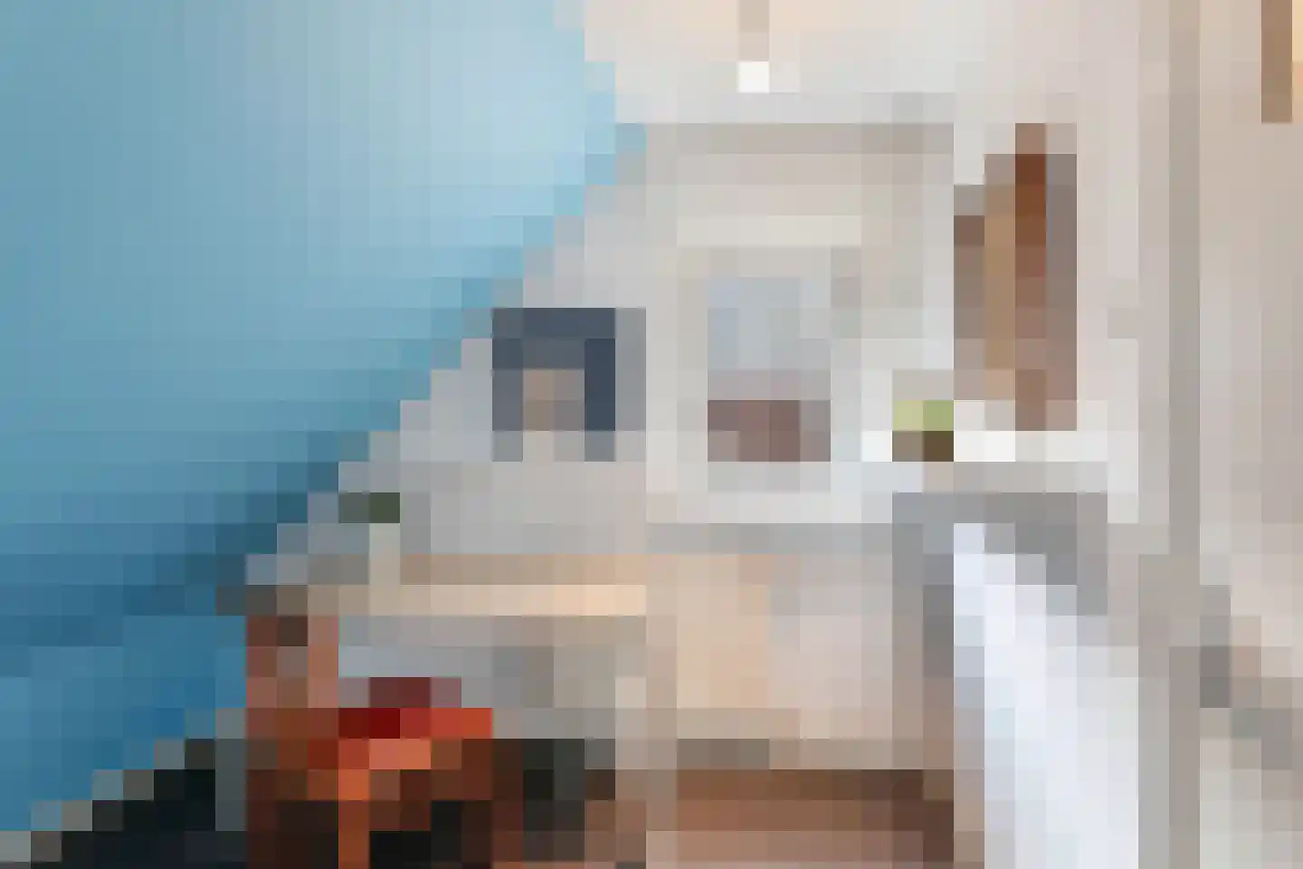 Sint Janskerkhof 19 's-Hertogenbosch thumbnail 32