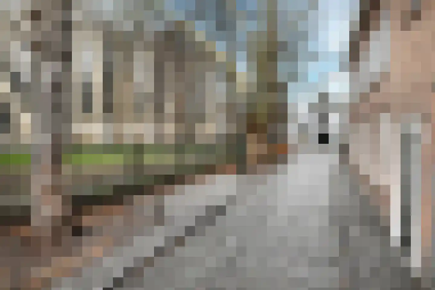 Sint Janskerkhof 19 's-Hertogenbosch thumbnail 37