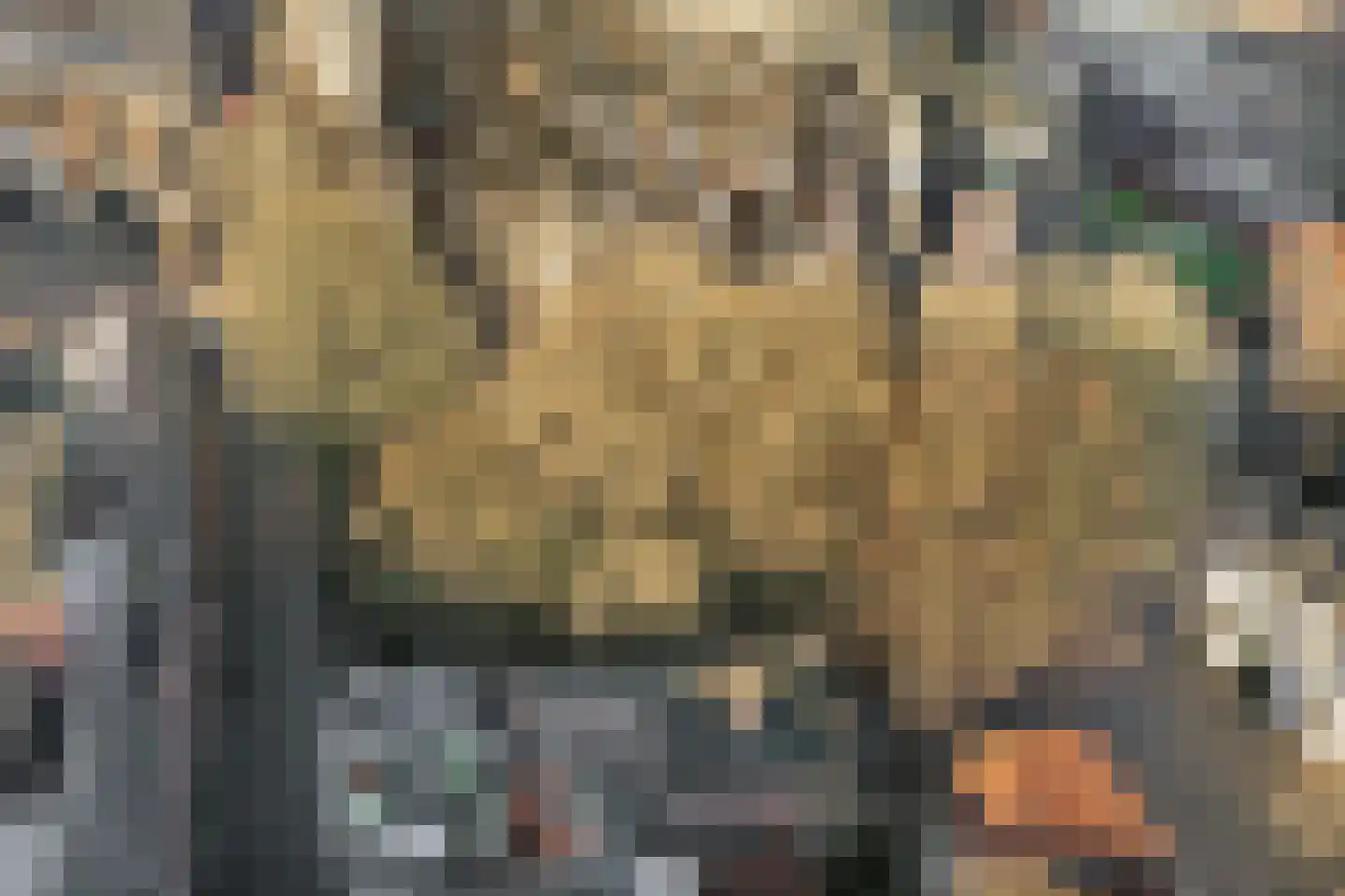 Sint Janskerkhof 19 's-Hertogenbosch thumbnail 39