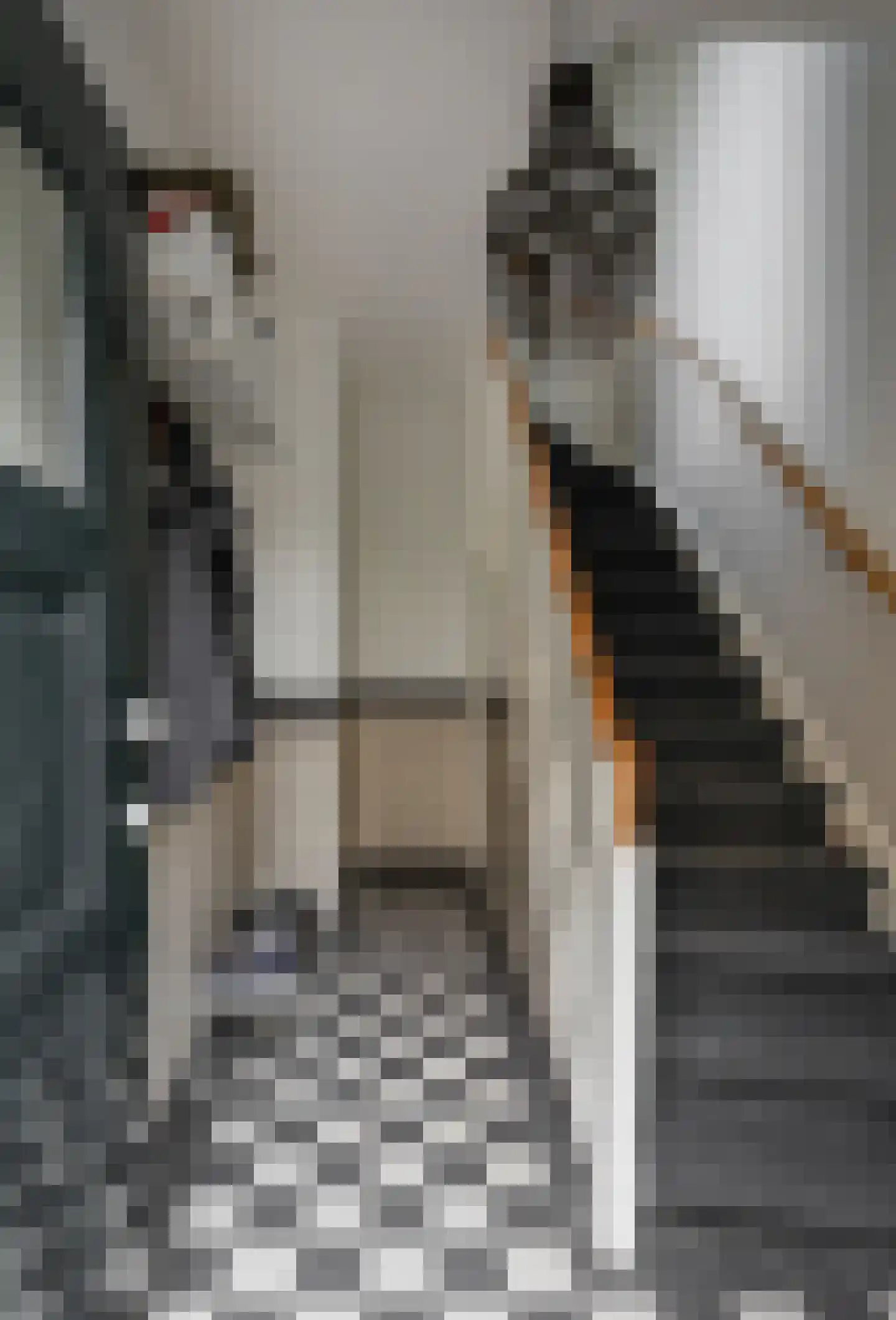 Sint Janskerkhof 19 's-Hertogenbosch thumbnail 7