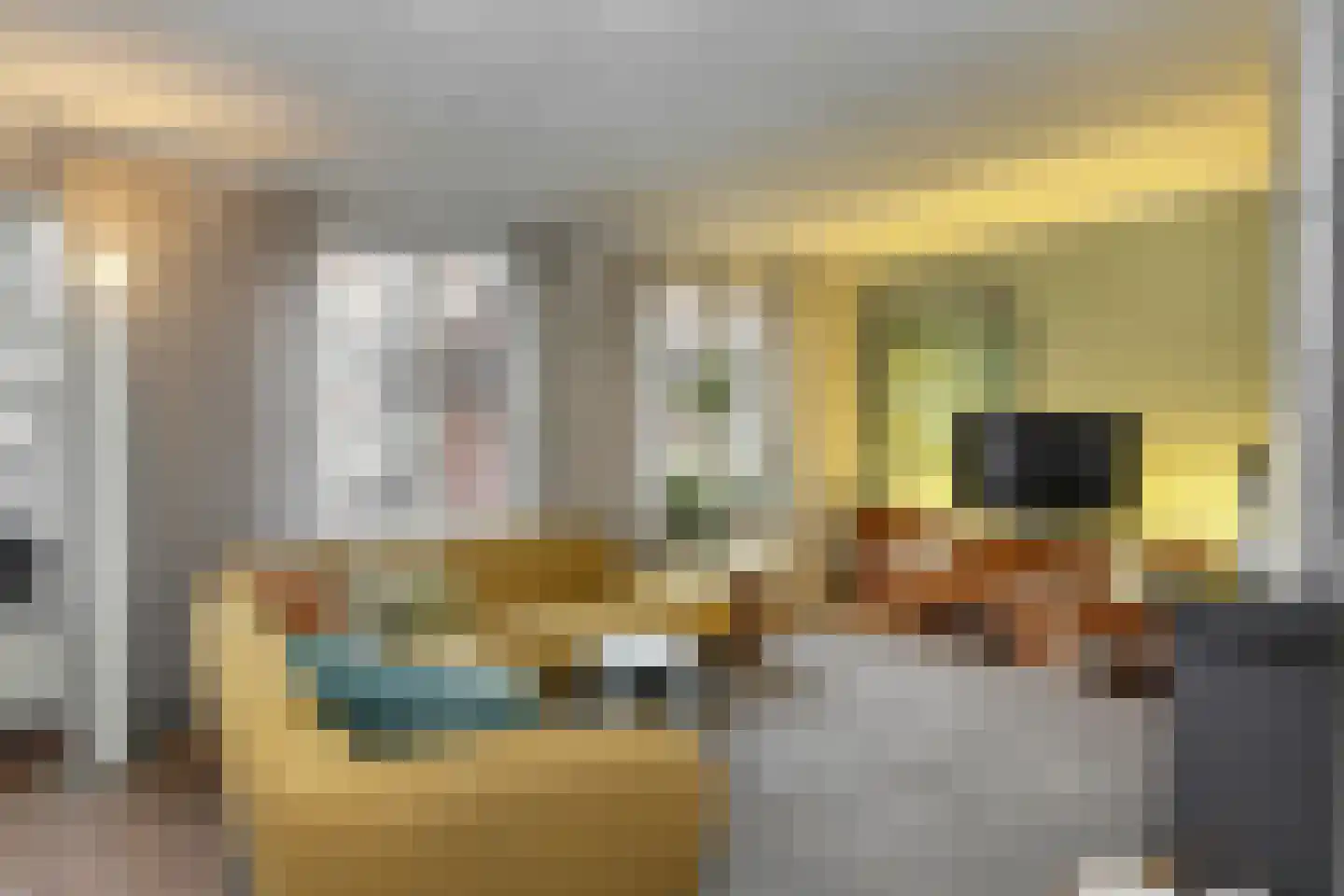 Sint Janskerkhof 19 's-Hertogenbosch thumbnail 8