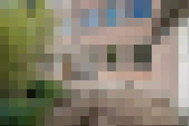 Sint Janskerkhof 2 Amersfoort thumbnail 12