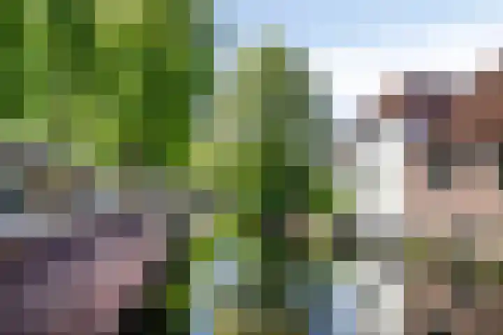 Sint Janskerkhof 2 Amersfoort thumbnail 25