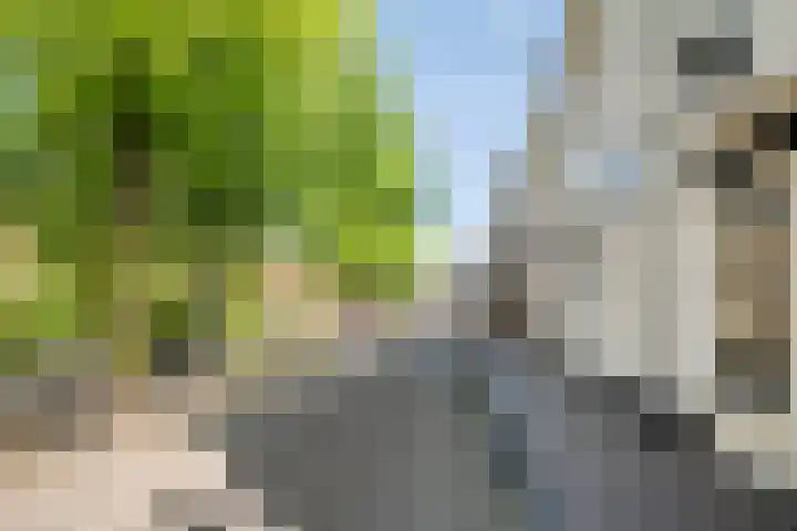 Sint Janskerkhof 2 Amersfoort thumbnail 26