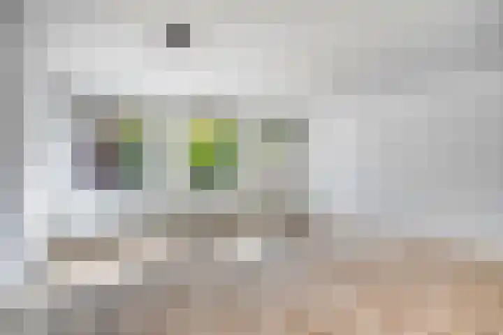 Sint Janskerkhof 2 Amersfoort thumbnail 9