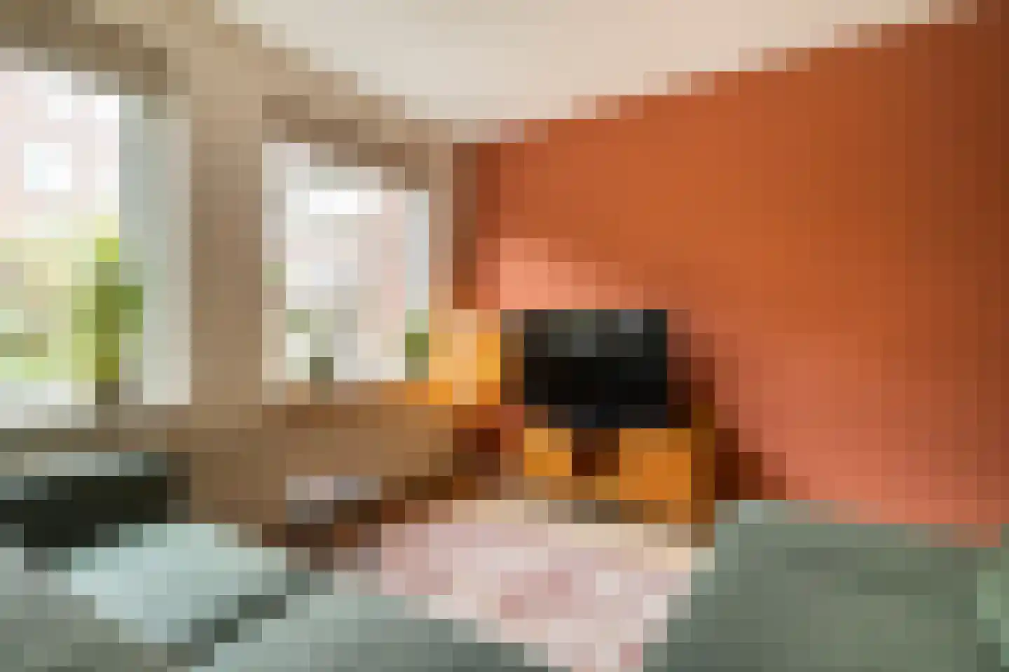 Sint Janskerkhof 20 Amersfoort thumbnail 17