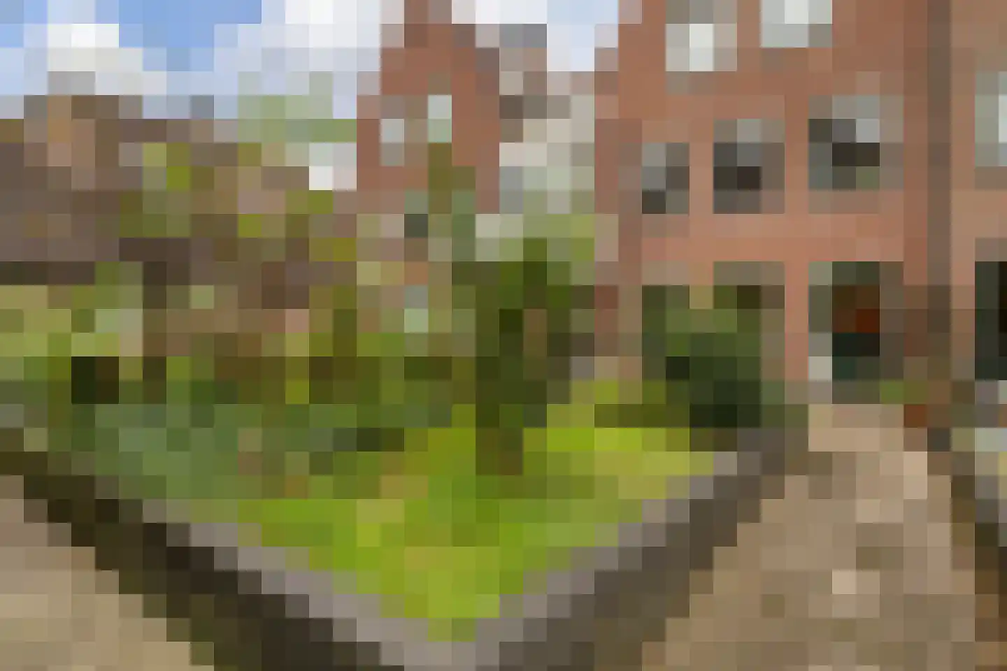 Sint Janskerkhof 20 Amersfoort thumbnail 24