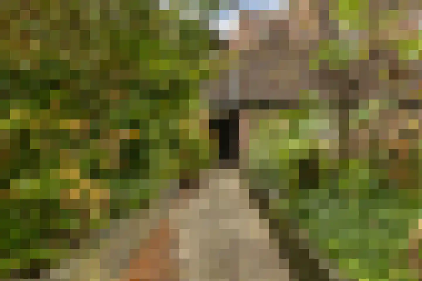 Sint Janskerkhof 20 Amersfoort thumbnail 25