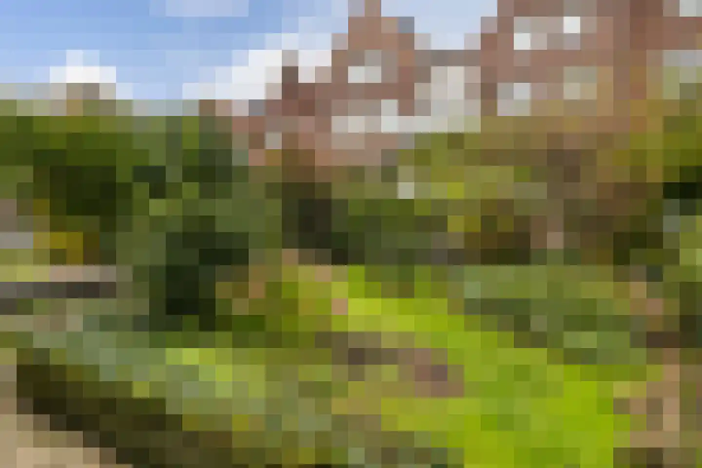 Sint Janskerkhof 20 Amersfoort thumbnail 26