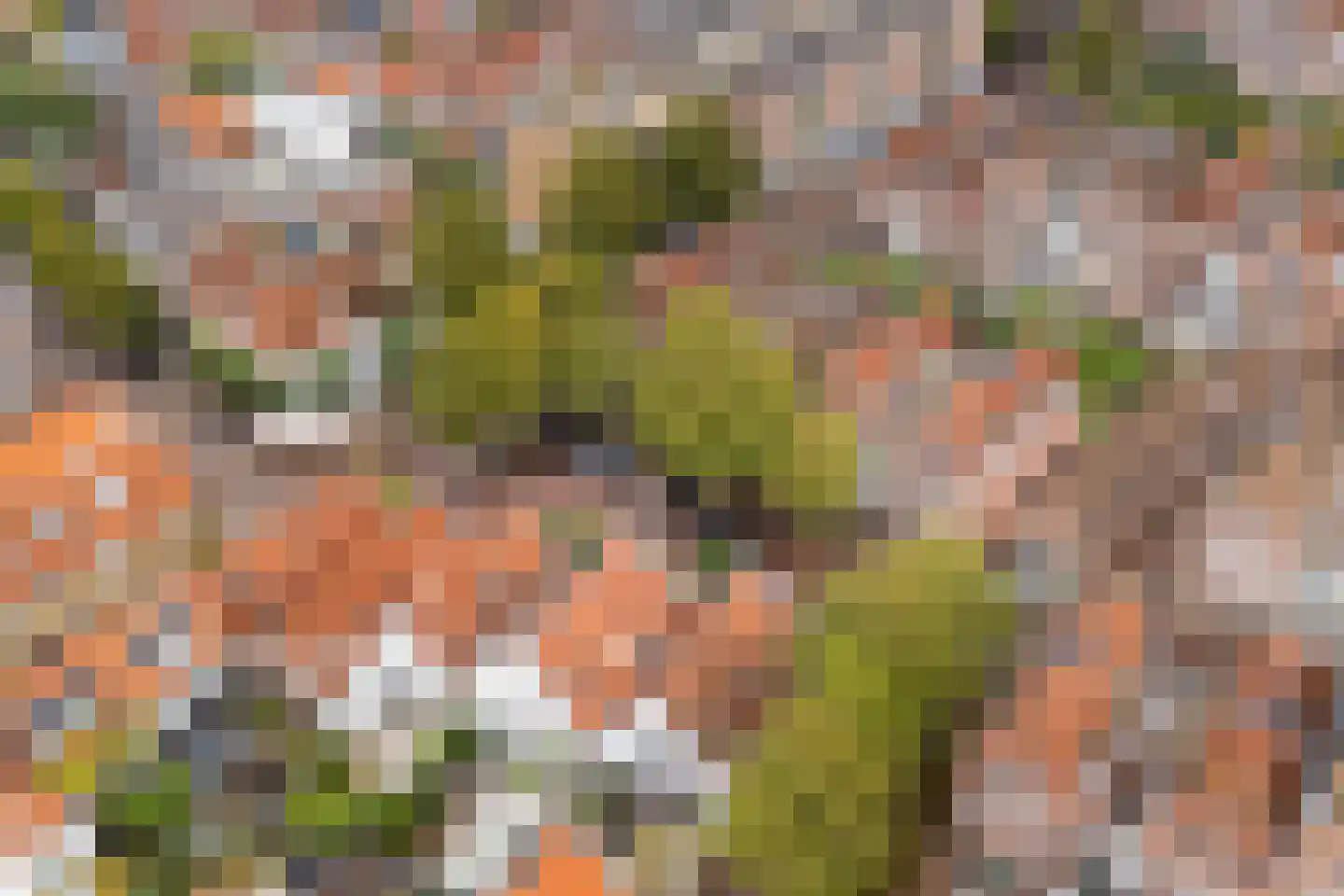 Sint Janskerkhof 20 Amersfoort thumbnail 46