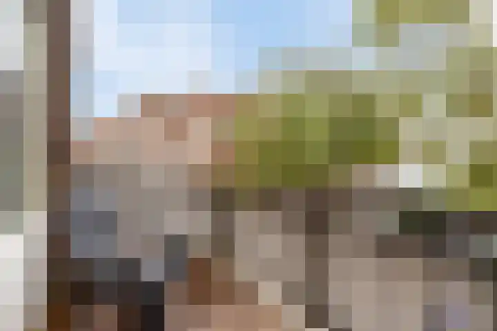 Sint Janskerkhof 24 Amersfoort thumbnail 21