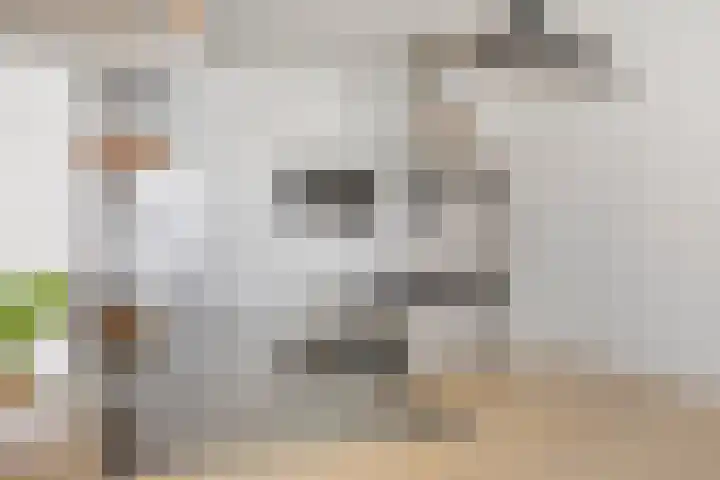 Sint Janskerkhof 24 Amersfoort thumbnail 9