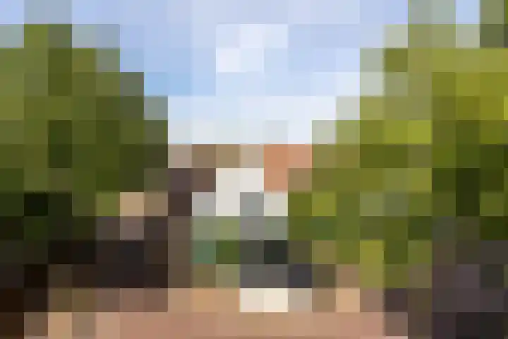 Sint Janskerkhof 30 Amersfoort thumbnail 17