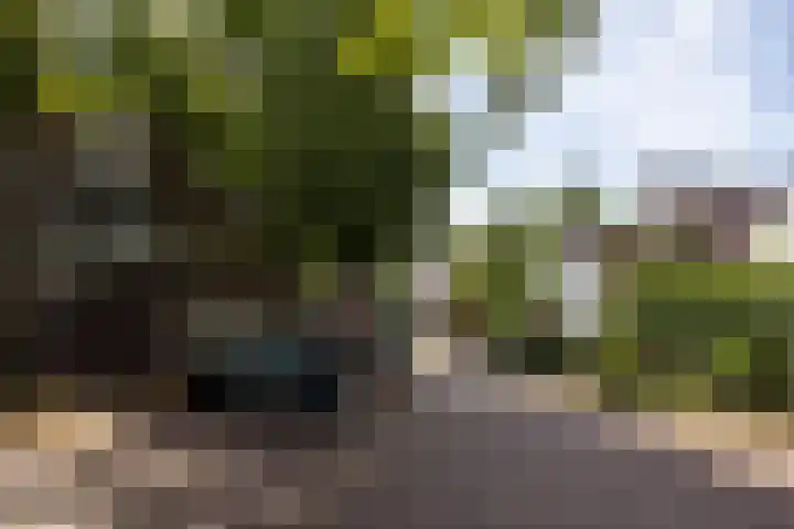 Sint Janskerkhof 30 Amersfoort thumbnail 21