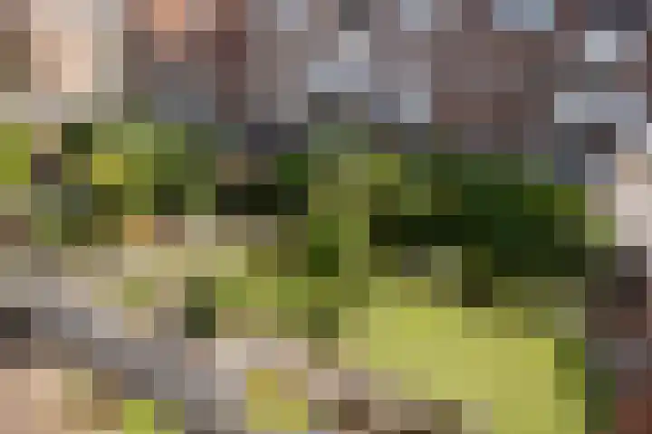 Sint Janskerkhof 30 Amersfoort thumbnail 7