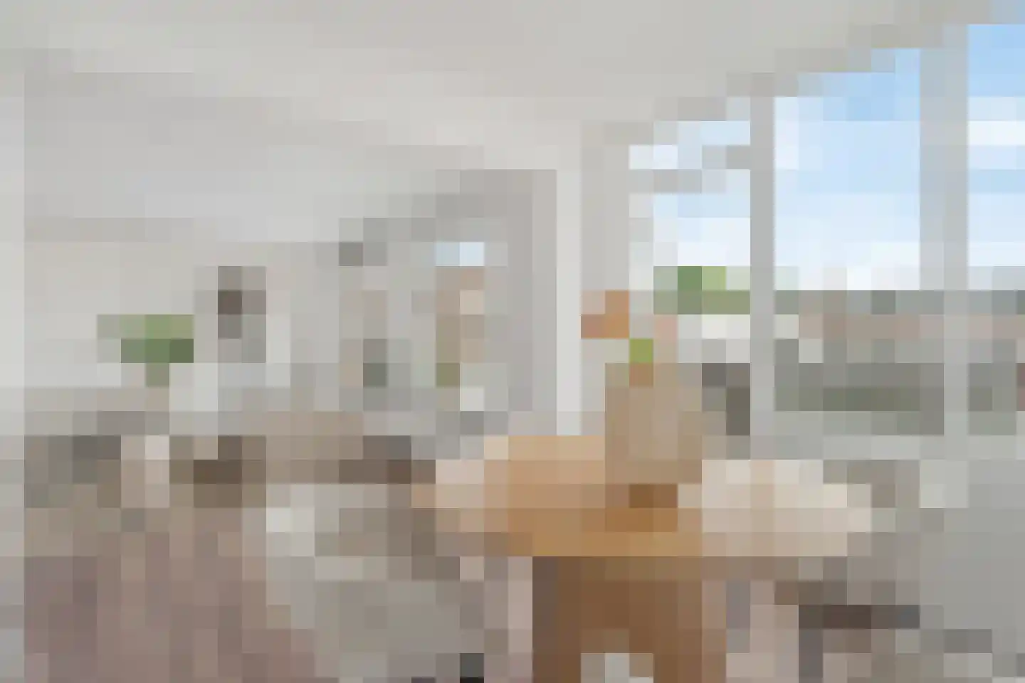 Sint Janskerkhof 33 Amersfoort thumbnail 20